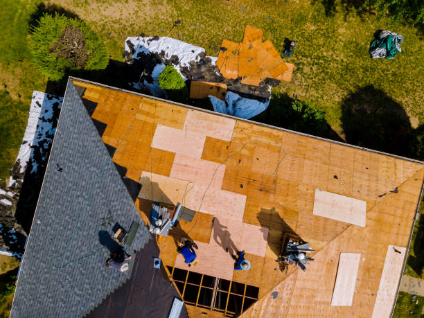 Best Roof Repair Services  in George Mason, VA